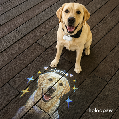 Holoopaw Collar Projector
