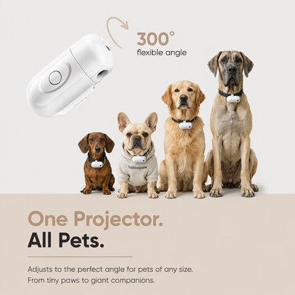 Holoopaw Collar Projector