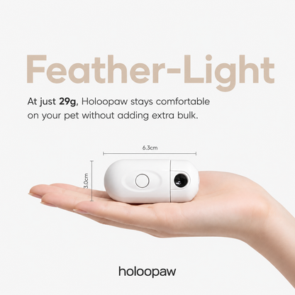 Holoopaw Collar Projector
